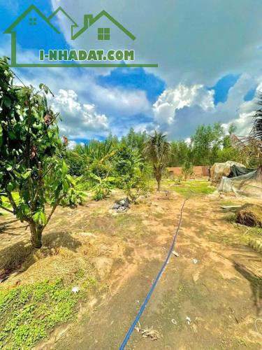 Cần bán khu vườn nghĩ dưỡng 💵💵 giá: 3.TỶ.2 DT: 1.127m2 (hơn 1.Xào) sổ hồng - 5