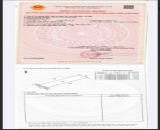 🔥 BÁN GẤP – SIÊU PHẨM ĐẤT NỀN 2.000 m² – LONG TÂN, NHƠN TRẠCH 🔥