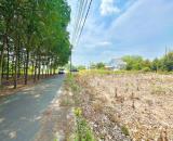 🏡 Bán 200m² thổ cư 100% giá 250 triệu, gần KCN, đường nhựa 7m ⚡