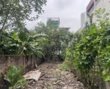 🔥 MẢNH ĐẤT 2 MẶT TIỀN 115M² – Ô TÔ ĐỖ CỬA – VĨNH NGỌC, ĐÔNG ANH – NHỈNH 10 TỶ