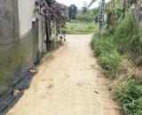 Rẻ quá! Bán đất vườn sầu riêng cà phê đường Blaosere, Lộc Thành, Bảo Lâm. Sổ sẵn