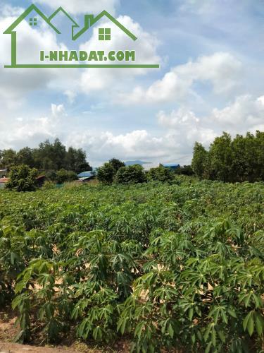 Bán lô 2 Hắc Dịch-Tóc Tiên : 6*32, 100M2 thổ cư, chỉ 1.5T