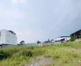 5000m2 đất thổ giá Chỉ hơn 15 triệu 1m² giá cực tốt tại Hóc Môn n