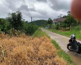 Bán đất Lộc Thành( Bảo Lâm 3) Lâm Đồng
