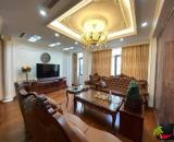 CỰC Hiếm. Shophouse Terra An Hưng mặt chung cư kinh doanh đỉnh 100m2 chỉ 29.x tỷ. LH 09896
