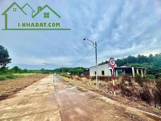 ► Chính chủ bán đất tại Tân Lợi Đồng Phú Đồng Nai - 1