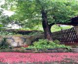 BIỆT THỰ VIP KĐT VĂN QUÁN HÀ ĐÔNG, 220M,4T,MT10M, 46.8 TỶ, VỈA HÈ, Ô TÔ, VĂN PHÒNG