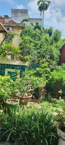 Cho thuê căn hộ 150m², tầng 2, biệt thự -ngõ 279 Đội Cấn,Ba Đình, căn hộ đẹp, FULL đồ - 2