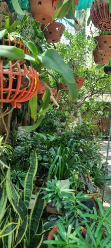 Cho thuê căn hộ 150m², tầng 2, biệt thự -ngõ 279 Đội Cấn,Ba Đình, căn hộ đẹp, FULL đồ