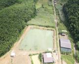 bán đất 5,6 hecta có sẵn nhà vườn, ao cá, có Suối nhỏ xã Khánh Thương, Khánh Vĩnh giá rẻ