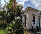 Bán Lô Đất Trang Trại Hơn 5000m² tại Kiến Thụy – Hải Phòng