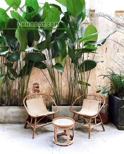 28 Triệu: thuê nguyên căn Quận 1- ĐIỆN BIÊN PHỦ CMT8- cao 5 tầng thông suốt có Lửng. VŨ