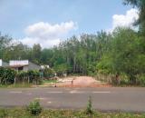 🏡 BÁN ĐẤT GIÁ RẺ NGAY KHU CÔNG NGHIỆP