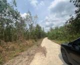 bán 11 hecta đất giáp đường betong hơn 300m làm nhà vườn, trang trại gần ttâm Khánh Vĩnh