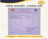🌟 Đất đẹp giá tốt – xã phước lâm, cần giuộc, long an