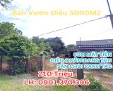 🚨 CHỈ 210 TRIỆU SỞ HỮU NGAY 5.000m² – SỔ RIÊNG, THỔ CƯ, NGAY CHỢ TÂN HƯNG HỚN QUẢN
