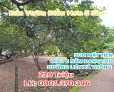 BÁN GẤP 5.000m² – SỔ HỒNG RIÊNG, THỔ CƯ, NGAY TRUNG TÂM – GIÁ CHỈ 210tr