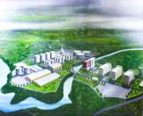 Đất Tân Biên, Tây Ninh ~80.000m2 (8 ha) đã có sẵn ~45.000m2 đất SKC