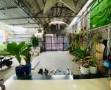 MẶT TIỀN KINH DOANH LÊ THỊ ĐIỆU - PHƯỚC LONG B - 100m2 - 3 TẦNG