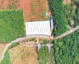 🔥 Đất Đẹp Long Hà – Phú Riềng, 370m², Giá Chỉ 590 Triệu – Mặt Tiền 10m Đường Nhựa 18m 🔥