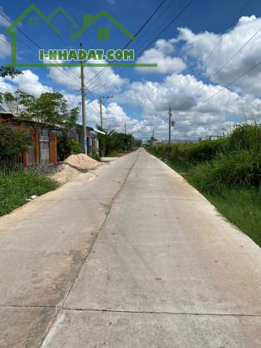 Bán đất vườn xã Hàm Cường giá 250tr/1000m2 - 1