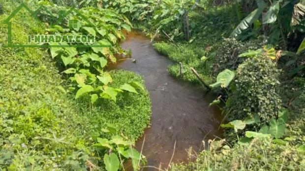 Bán đất vườn xã Hàm Cường giá 250tr/1000m2