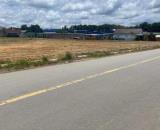 CẦN BÁN GẤP 1008M2 ĐẤT SỔ RIÊNG NGAY KCN ĐANG H.ĐỘNG CÓ CHỢ TRƯỜNG HỌC DÂN ĐÔNG. GIÁ 160TR