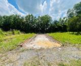 Bán đất Mỹ Hạnh Bắc Đức Hòa, Diện tích 140m2, Sổ hồng riêng, Giá 850 triệu