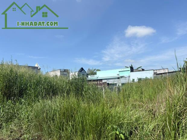 SỞ HỮU LÔ ĐẤT DIỆN TÍCH 1800m2 đất thổ ở đô thị (ODT) - 3