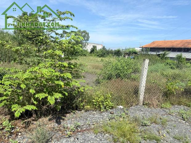 SỞ HỮU LÔ ĐẤT DIỆN TÍCH 1800m2 đất thổ ở đô thị (ODT) - 4