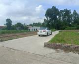 Bán Đất - Thái Lai (Minh Trí) - 67M2 Full Thổ Cư - 1,5 Tỷ