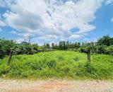 Bán 1008m2 đất ONT Tân Nghĩa - Hàm Tân chính chủ giá rẻ gần trung tâm