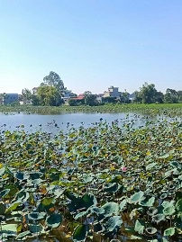 CƠ HỘI HIẾM – ĐẤT ĐẸP GIÁ RẺ HƠN 10% Vị trí vàng ngay Cụm Công Nghiệp Mỹ Thuận, tiềm năng