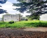 🌿 BÁN ĐẤT SÁT MẶT TIỀN TỈNH LỘ 826 NGAY CHỢ RẠCH KIẾN – LONG HÒA, LONG AN 128M2 CHỈ 1.5 T