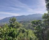 Bán đất vườn view săn mây đồi bát úp Phạm Hồng Thái Đại Lào ( phường 3) Bảo Lộc. 🆘 GIÁ RẺ