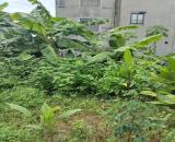 48m2 Đất Đấu giá Ao Ngòi Xã Hoài Đức