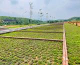 Chỉ Hơn 400 Triệu Sở Hữu Ngay Lô Đất Trung Tâm Thị Trấn – Tặng 2 Chỉ Vàng Cho Người Nhanh