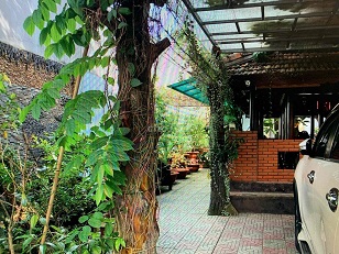 CẦN BÁN NHÀ VƯỜN ĐẸP - MẶT TIỀN ĐƯỜNG LIÊN ẤP 1-2-3, VĨNH LỘC B, BÌNH CHÁNH - 4