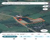 Cao Phong, Hòa Bình   📐 **Diện tích:** 2.897m² (trong đó có **200m² đất thổ cư* Cao Phon