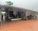 Chuyển nhượng trang trại 2500m2 tại Đông Mỹ, Thanh Trì, giá 1.8 tỷ. Lh 0888229559