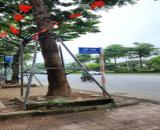 Cho thuê nhà nguyên căn ngõ 23 Xuân La, Tây Hồ, Hà Nội. 12tr/tháng. 5 tầng, 52m/tầng, 5