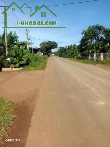 Đất mặt tiền trươc cổng trường học Phạm Hồng Thái Eabhok cũ - 2