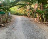 CHÍNH CHỦ BÁN 6706M2 ĐẤT TRỒNG SẦU RIÊNG THÁI ĐÃ CHO TRÁI TẠI LONG HỒ-VĨNH LONG