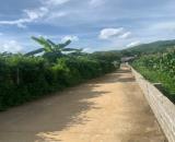 Quáng Giữa Cao Phong Hòa Bình 2000m 500m thổ cư GIÁ RẺ , cách tt HN 60km