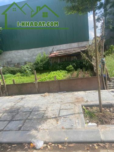 Bán đất TĐC Đông Hội Đông Anh- Phân Lô - Vỉa Hè- trục chính cầu Tứ Liên- 60m nhỉnh 10 tỷ(