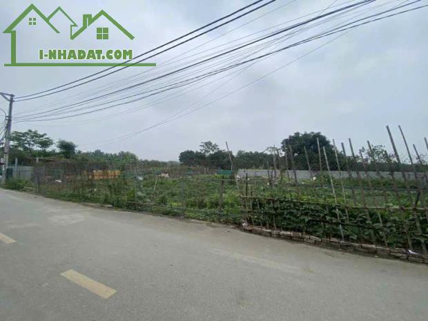 Bán đất TĐC Đông Hội Đông Anh- Phân Lô - Vỉa Hè- trục chính cầu Tứ Liên- 60m nhỉnh 10 tỷ( - 1