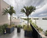 Bán biệt thự siêu đẹp 3 tầng Logoc 2MT Sơn Thủy, Ngũ Hành Sơn, giá cực tốt