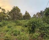 Đất làm kho bãi ngay đường Hồ Chí Minh gần nút giao lên cao tốc