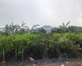 0.9Ha Đất đầu tư GD View sông – Phan Huy Ích Gò Vấp S