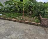 Bán đất Nam Hồng – Đông Anh (Phúc Thịnh)  Diện tích: 46m², mặt tiền & hậu 4m  Ô tô ngủ tro